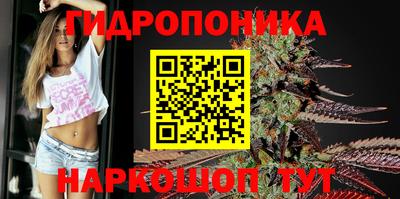 скорость Будённовск