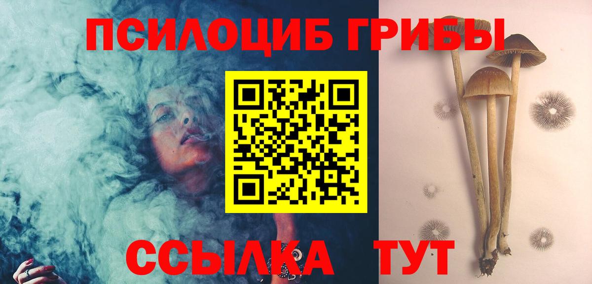 Псилоцибиновые грибы Magic Shrooms Михайловск